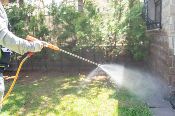 Seasonal Pest Control in Seminole Manor, FL